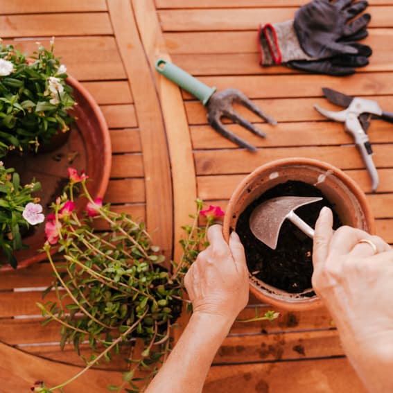 J Parker's Case study