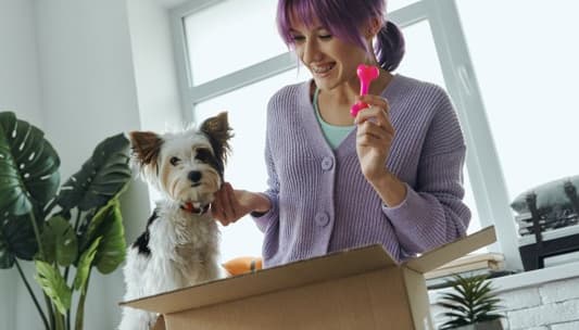 Get “tails” wagging with Doordrops image