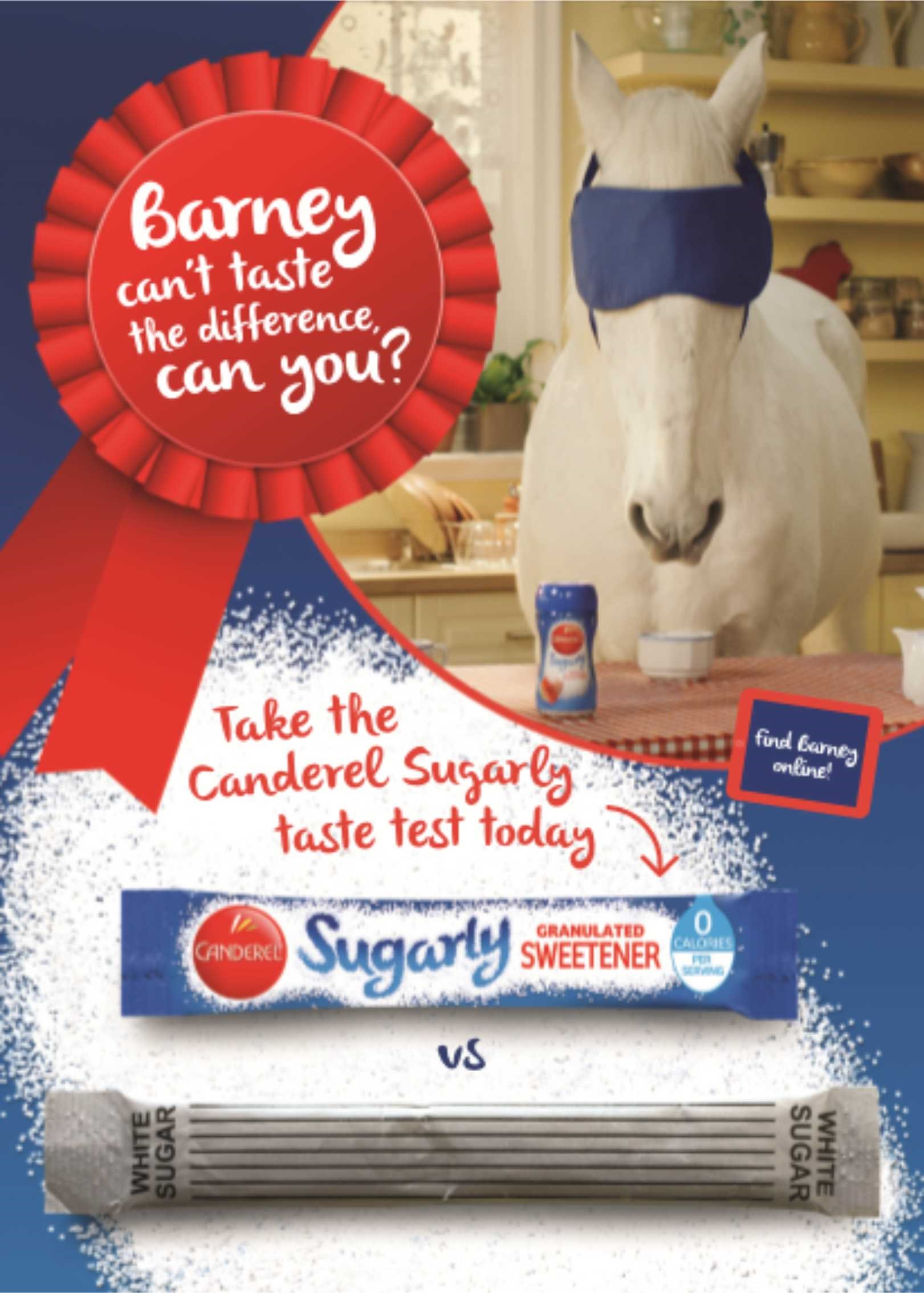 Canderel Sugarly Barney Taste Test.PNG