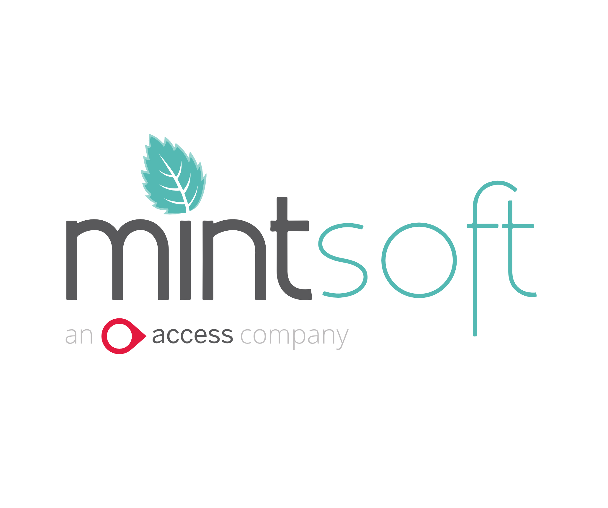 partner-logo-mintsoft.jpg